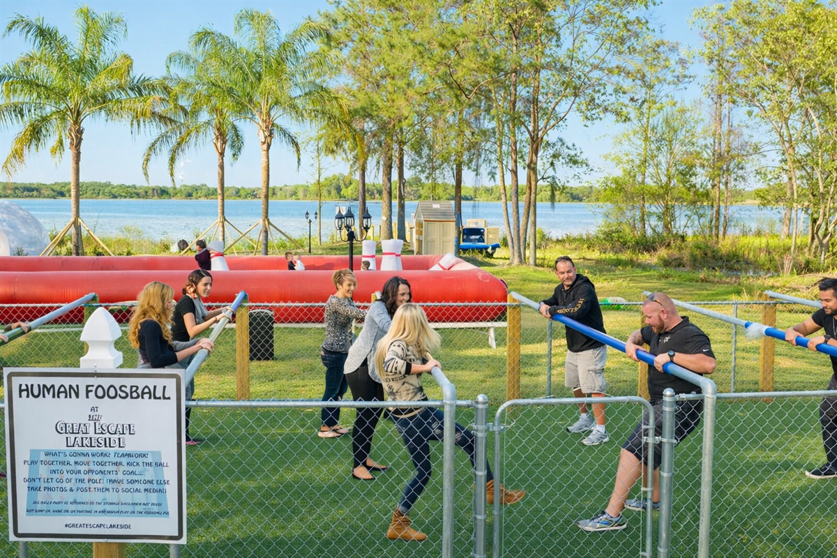 Human foosball on the lawn.