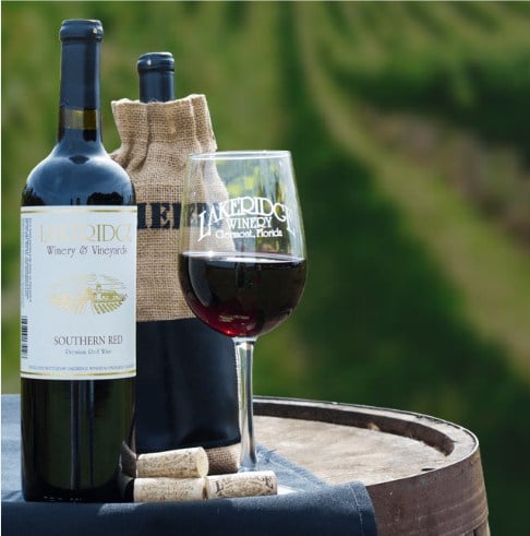The local winery, open for tours.