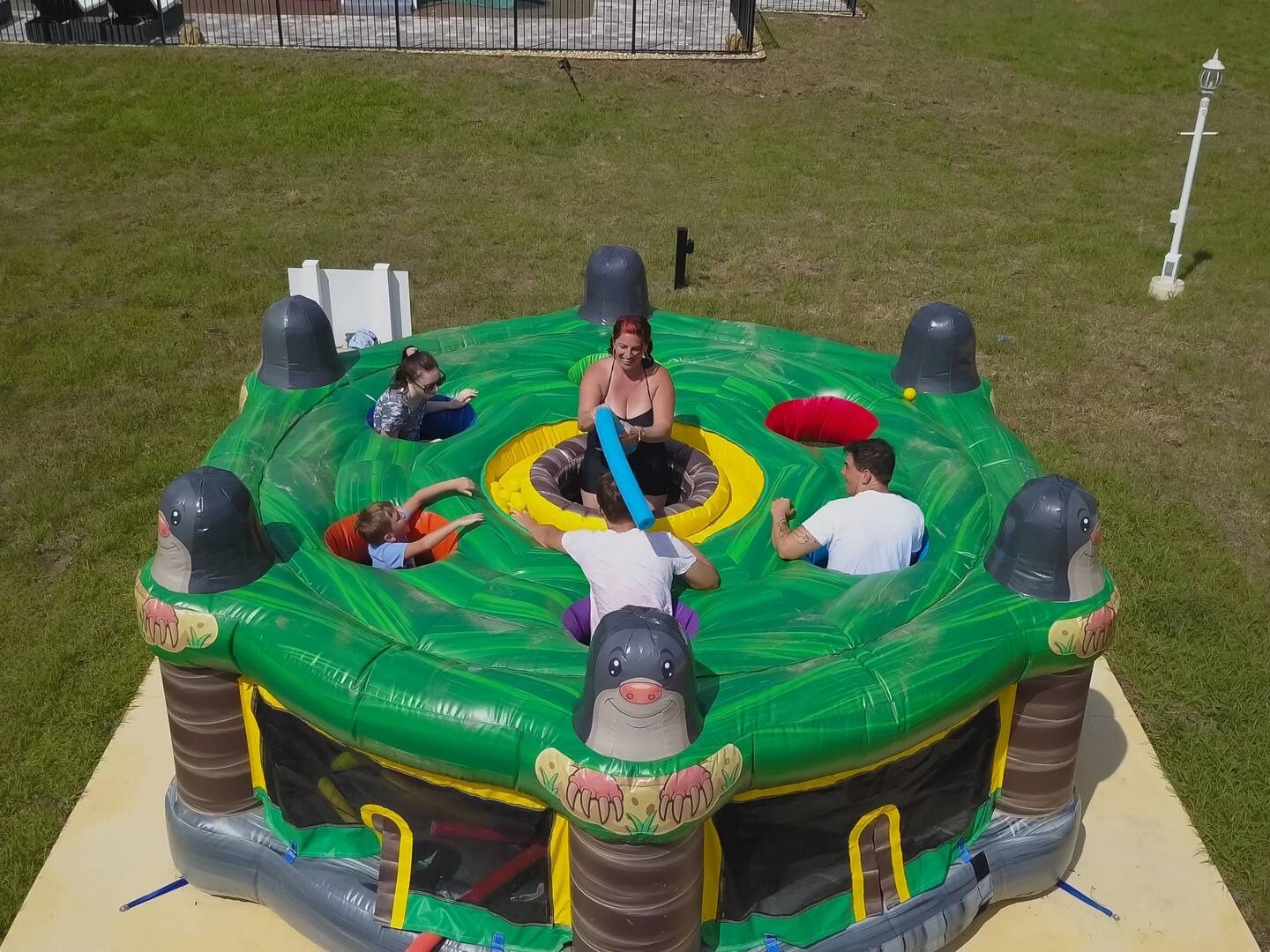 Human Whack-a-Mole.