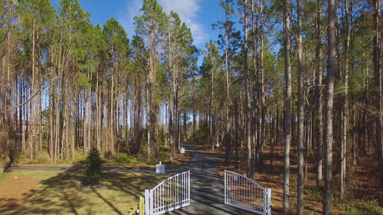 The gated entrance drive.
